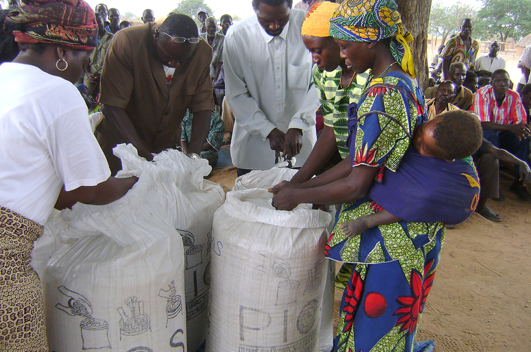 grain storage bags