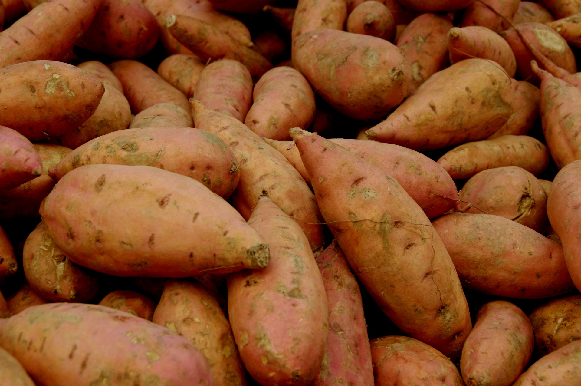 sweet potatoes